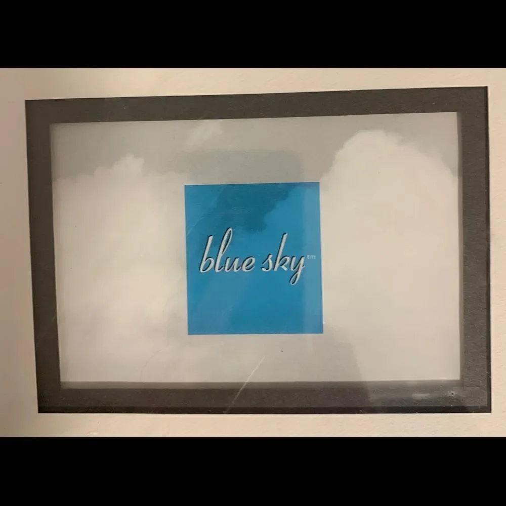 Blue Sky Collection Silver Frame Matted Photo 5 Separate 3x5 Inch Photo Opening